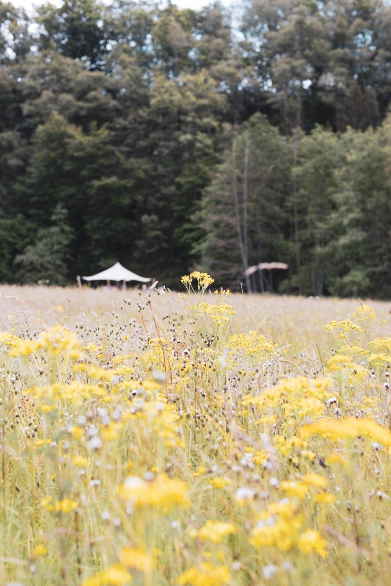 Paddock Lodge - Suites Wellness & Chambres D'Hotes Stoumont Esterno foto